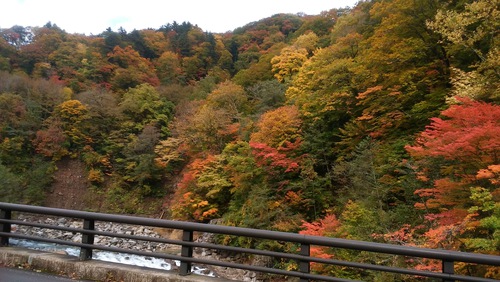 10 13 紅葉見頃です 葛根田渓谷 玄武洞 国見 舟原 お知らせ しずくいろ 一般社団法人しずくいし観光協会