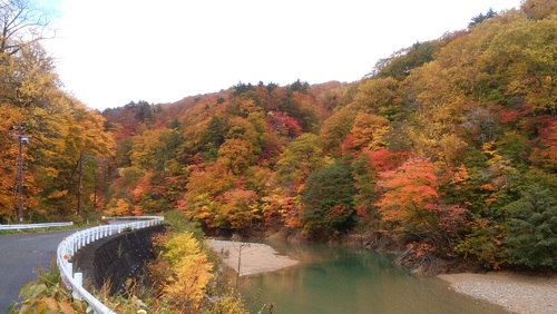 10 13 紅葉見頃です 葛根田渓谷 玄武洞 国見 舟原 お知らせ しずくいろ 一般社団法人しずくいし観光協会